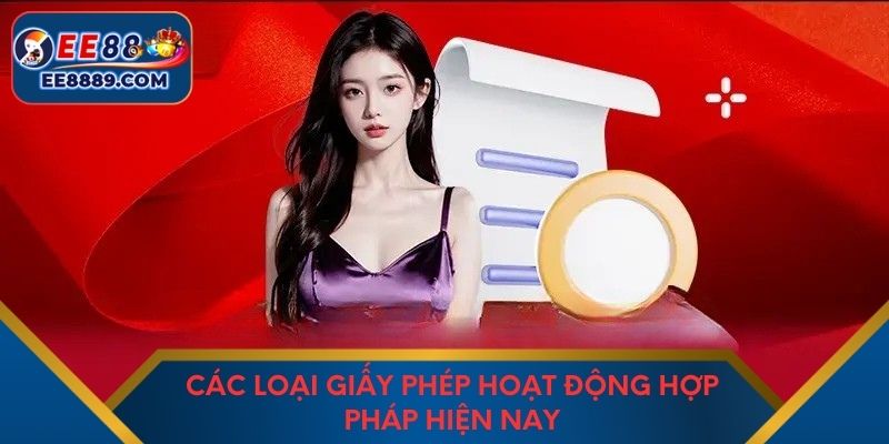 Các loại giấy phép hoạt động hợp pháp hiện nay