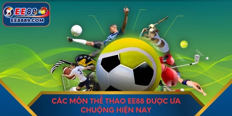 Các môn thể thao EE88 được ưa chuộng hiện nay