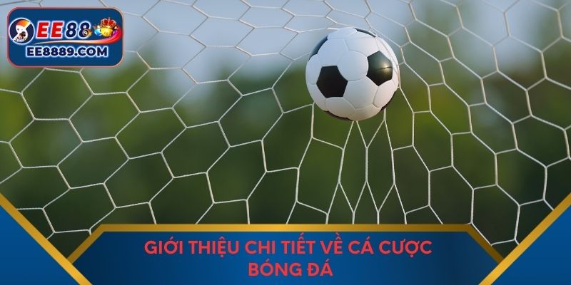 Giới thiệu chi tiết về cá cược bóng đá