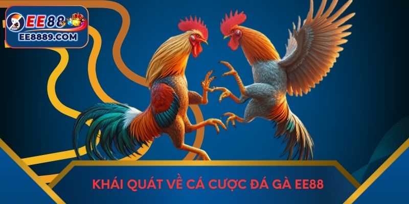 Khái quát về cá cược đá gà EE88