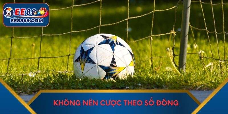 Không nên cược theo số đông