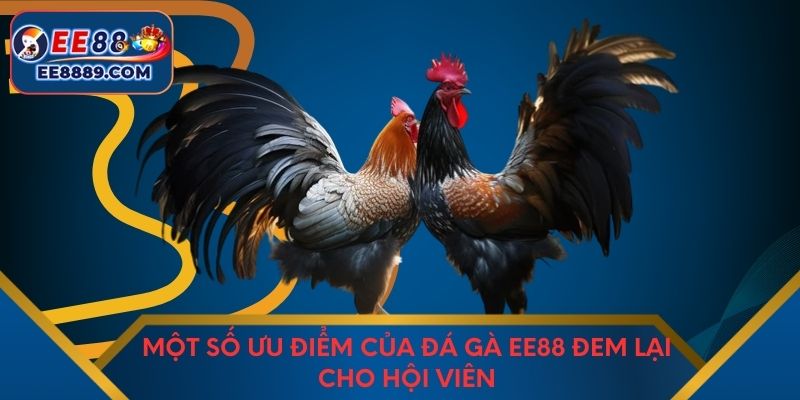Một số ưu điểm của đá gà EE88 đem lại cho hội viên
