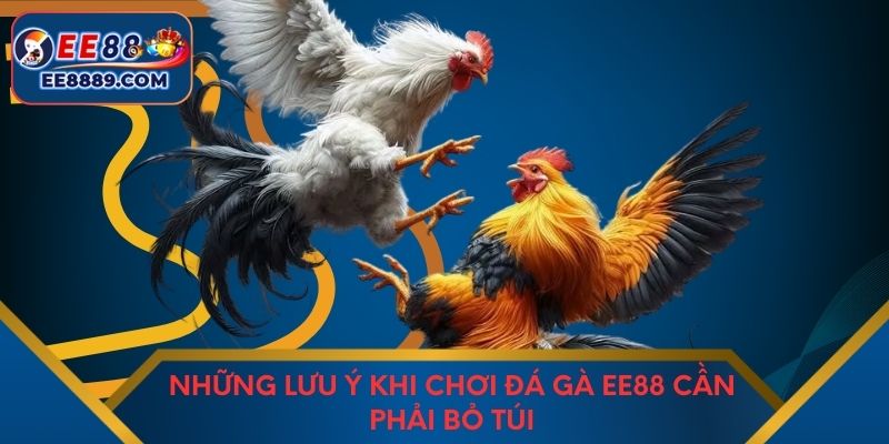 Những lưu ý khi chơi đá gà EE88 cần phải bỏ túi