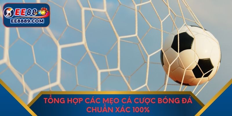 Tổng hợp các mẹo cá cược bóng đá chuẩn xác 100%