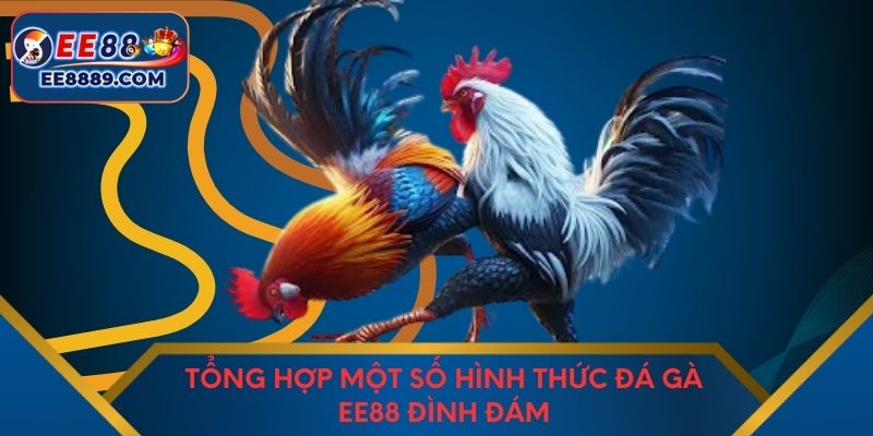 Tổng hợp một số hình thức đá gà EE88 đình đám